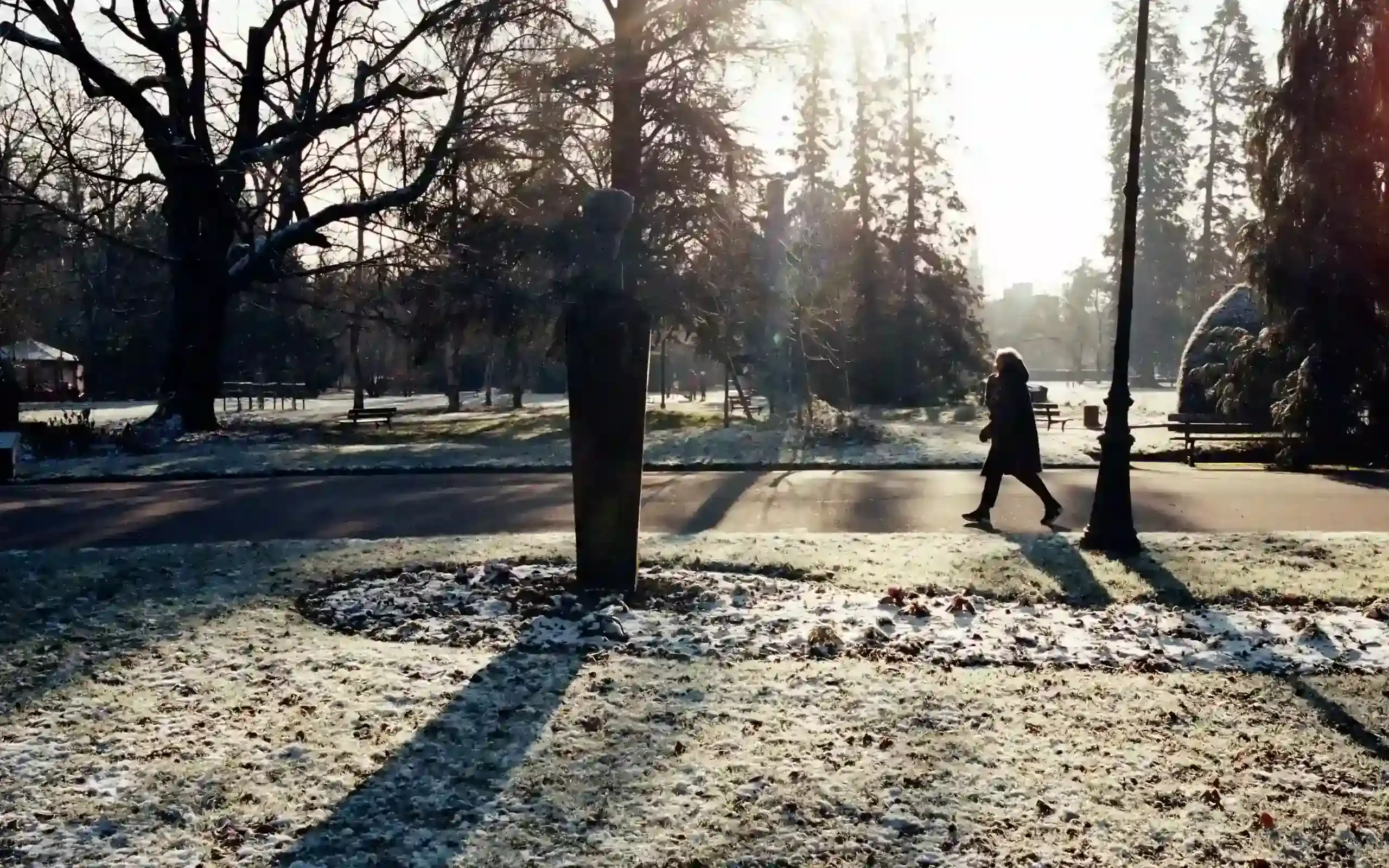 Une personne marche dans un parc verdoyant à la lumière douce du matin